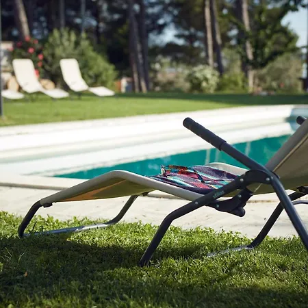 Le Balze In Bed & Breakfast