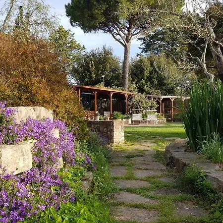 Le Balze In Bed & Breakfast *