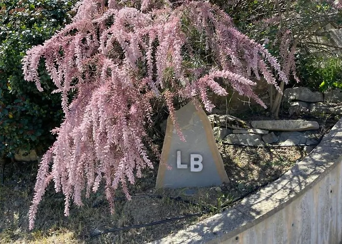 Le Balze In לינה וארוחת בוקר פרוג'ה